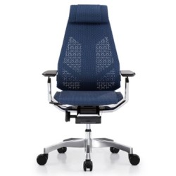 Genidia | Ergonomic Mesh Chair with Swivel Base
