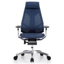 Genidia | Ergonomic Mesh Chair with Swivel Base